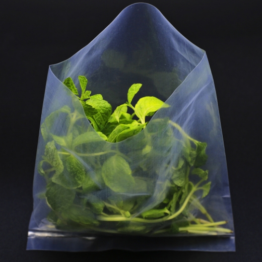 صورة اكياس شفافة