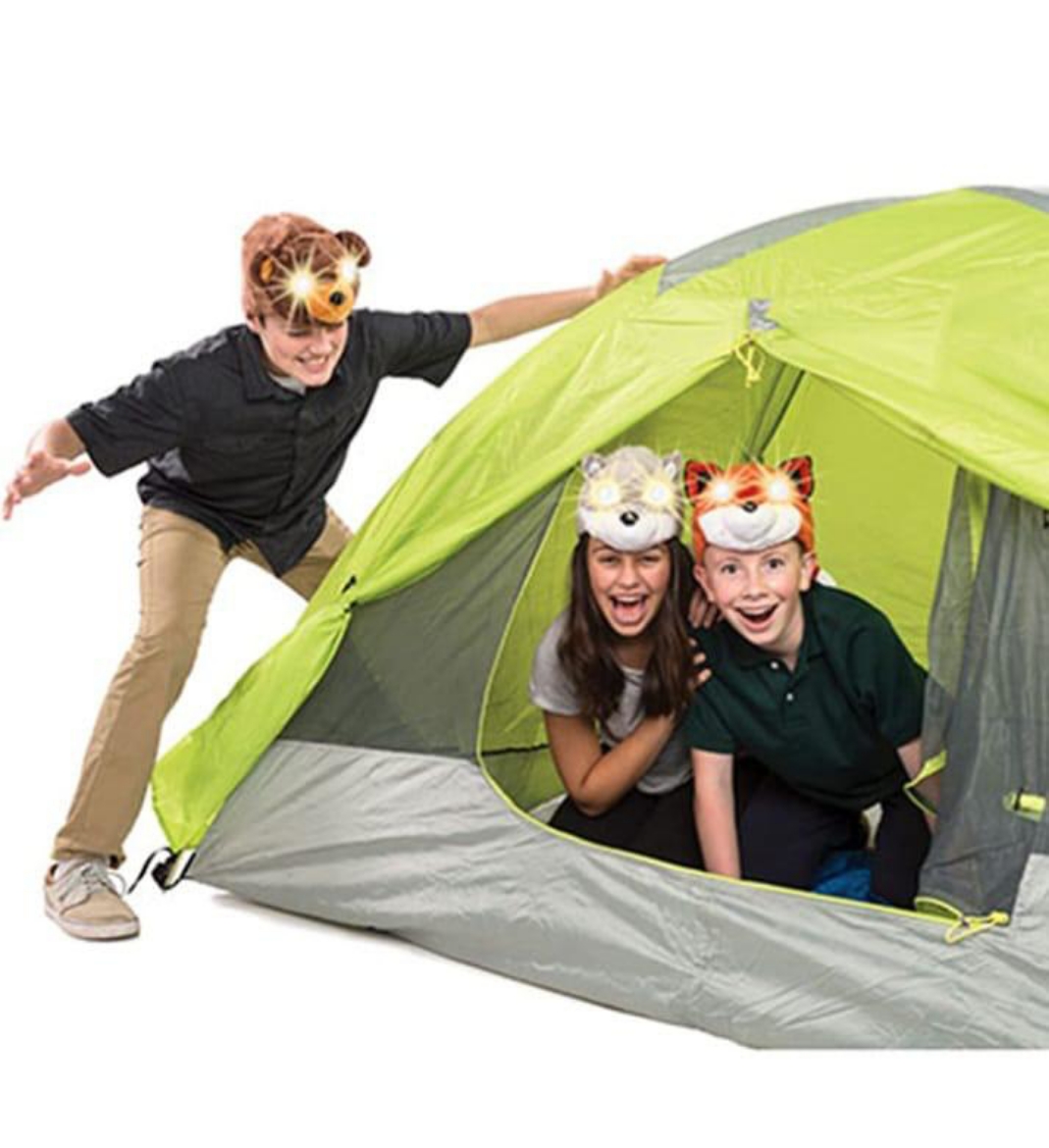 صورة المصابيح الأمامية من على شكل قطة