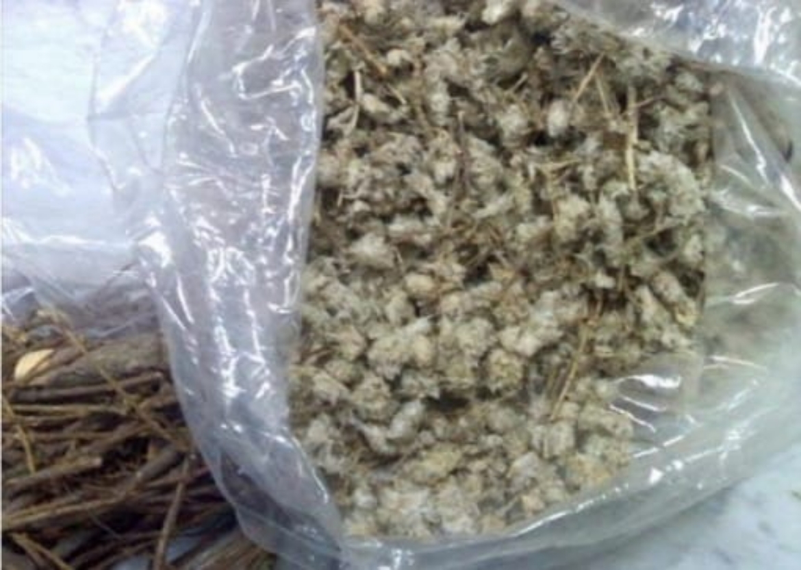 صورة رجل الاسد 